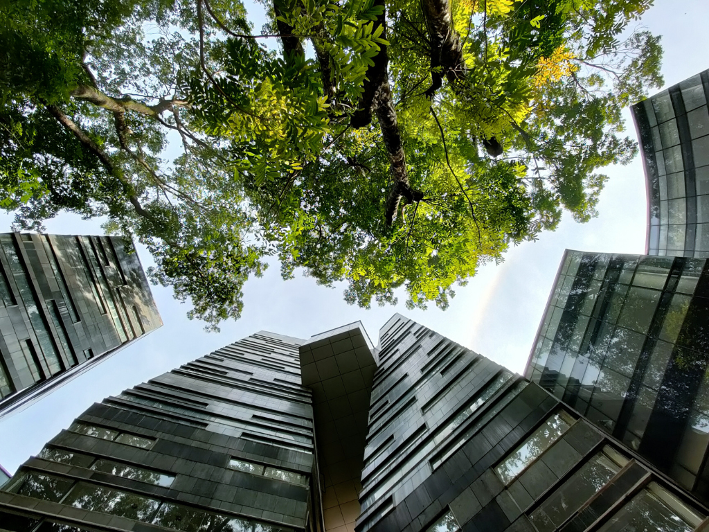 UI GreenMetric campus