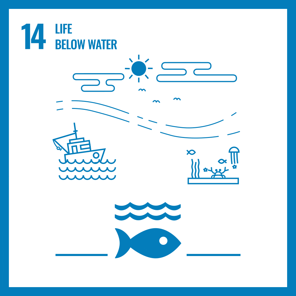 SDG 14: Life Below Water