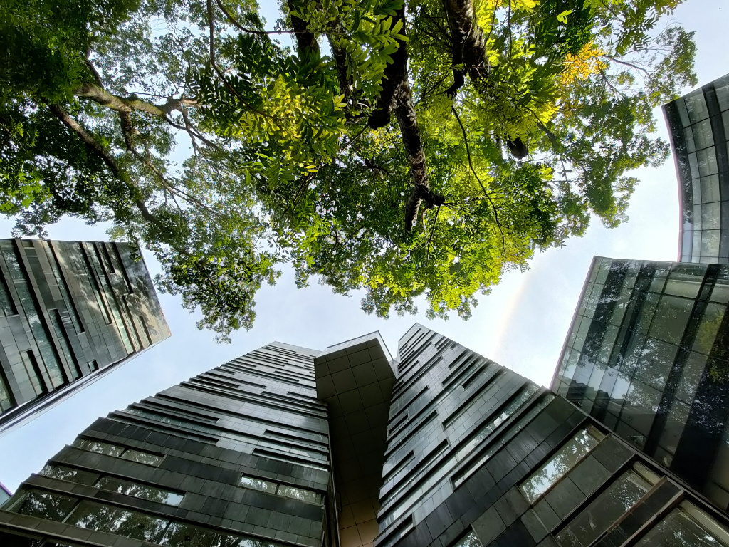 Recycling at Universitas Indonesia: A Guide to Responsible Waste Disposal on Campus