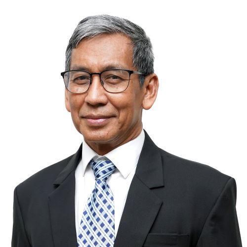 Prof. Dr. Hamdi Muluk
